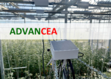 ADVANCEA Academy Opens Registration for 2026 Online Course: “Introduction to Greenhouse Environmental Control for Crop Production” 