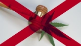 The impact of Alabama’s new hemp and CBD restrictions