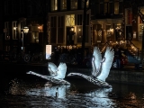 Amsterdam Light Festival 2026/2027: boottocht & tickets