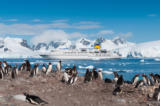 What a Day on an Antarctic Expedition Looks Like (2026)