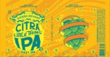 Sierra Nevada Adding Citra Little Thing Cans – mybeerbuzz.com