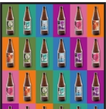 Double Mountain Introduces Full 2025 Cider Lineup – mybeerbuzz.com