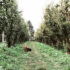 Will Dohrn & Love Song Brush Up on the Dyson CameraJet – Motion design