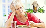 CBD Oil and your Immune System