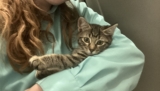 The Animal Protection Society of Durham