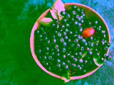 Health Benefits of Aronia Berries – Stimulife Health Blog