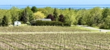 Flat Rock Cellars’ top 2025 wines are ‘powerful without heaviness’