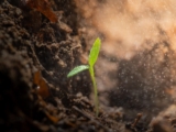 What God Is Doing While You Wait – The Sisterhood Hub