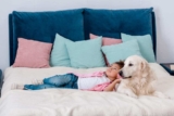Flea vs Tick Identification – Greencare Pest Control & Cleaning