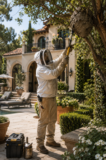 Expert Insights for Safe Relocation Services – BetterDecoratingBible