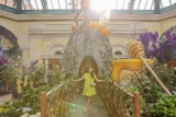 Bellagio Conservatory & Botanical Gardens