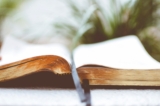 The Visit – Amy Linnea