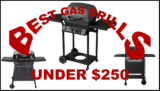 Best Gas Grills under $250 for 2026