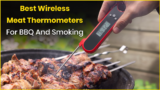 Best Wireless Meat Thermometers For BBQ And Smoking