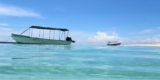 Top 5 Best Bimini Tops of 2026 • The Adventure Junkies