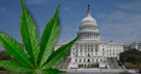 Congress Delays Federal Hemp Ban Until December 11