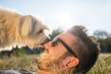 Calling All Guys! Dog Training Needs You!