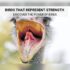 At the Intersection of Academic Inquiry and Public Culinary Performance in the work of Scott Barton – FoodAnthropology