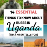 Buses In Uganda: 14 Things To Know To Survice You First Ride