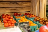 2026 SAFN Student Research Award Winner! – FoodAnthropology