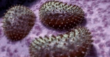 Ancient arms race sharpened our immune system, which still left us weak