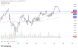 Index Slices Through 50-Day EMA Toward €8,400 Support – Rehana William |Financial Consultant _Forex_Gold Xauusd| Fund Manager