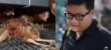 Footage From ‘Cage-Free’ Egg Farms Shocked Whole Foods Shoppers