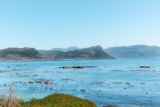 South Africa Travel Guide: Plan the Ultimate Trip