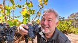 Seppeltsfield winemaker smashes St Georges house price record