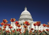 The Senate Farm Bill Markup: What Happened and What’s Next
