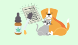 5 Simple Steps to Safe & Effective Use
