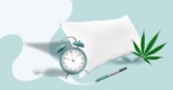 CBD for sleep disorders: back to a sound sleep