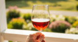 Beat the Heat: Your Official Guide to Summer’s Biggest Secret—Chilled Red Wine