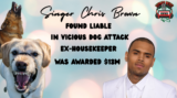 Ex-Housekeeper Of Singer Chris Brown Awarded $13M In Dog Attack