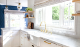 How to Handle Pests in Your Spotless Wisconsin Home