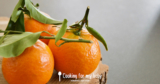 Avocado, Banana, and Clementine Cream for Babies