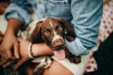  Compassionate Guide to Saying Goodbye to Your Dog