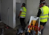 German Cockroach Control Singapore – Greencare Pest Control & Cleaning