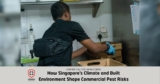 How Singapore Conditions Shape Commercial Pest Risks