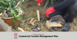 Commercial Termite Management Plan Singapore