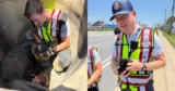 Fire Captain Falls in Love With Kitten He Helped Rescue From Storm Drain