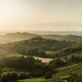 Welcome to the World, Asti Rosato! – Wine, Wit, and Wisdom