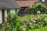 Top 10 Gardening Trends for 2024