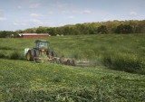 Keeping the “Farm” in the Farm Safety Net