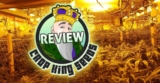 Unleash the King in Your Garden: An Updated Review of Crop King Seeds