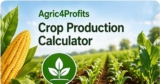 Crop Production Calculator for Barley Farming in Senegal
