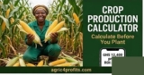 Crop Production Calculator for Bitter Leaf Farming in Morocco