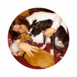 Manage and Stop Dog Aggression