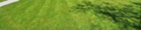 Transform Your Yard in a Pest-Free Haven