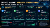 SUI, BCH Lead as BTC and ETH Lag – Rehana William |Financial Consultant _Forex_Gold Xauusd| Fund Manager